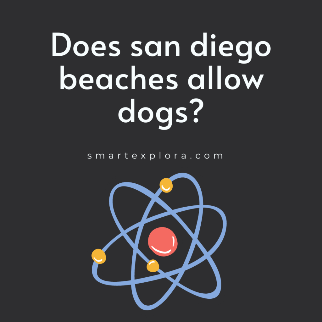 Does san diego beaches allow dogs