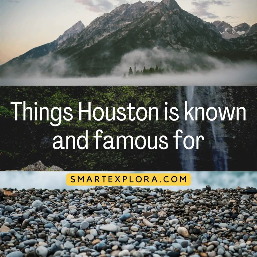 Things Houston is known and famous for