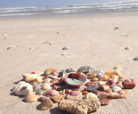 Best beaches for shells on East Coast Florida