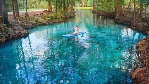 Crystal Clear Springs in Florida