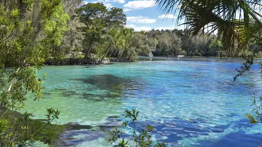Crystal Clear Springs in Florida