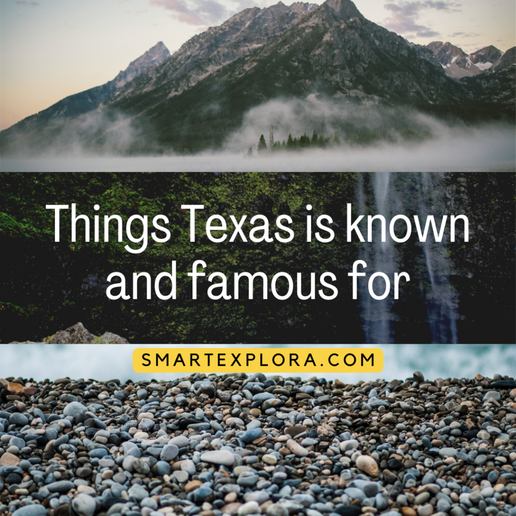 Things Texas is known and famous for