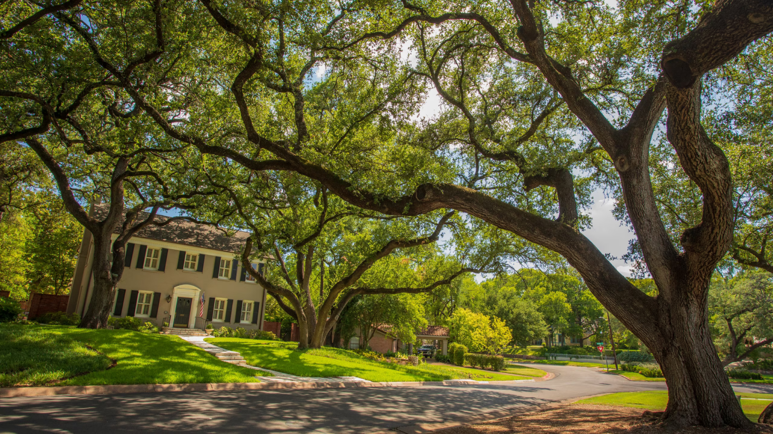 25 Best Austin Neighborhoods for Families and Professionals (Texas ...