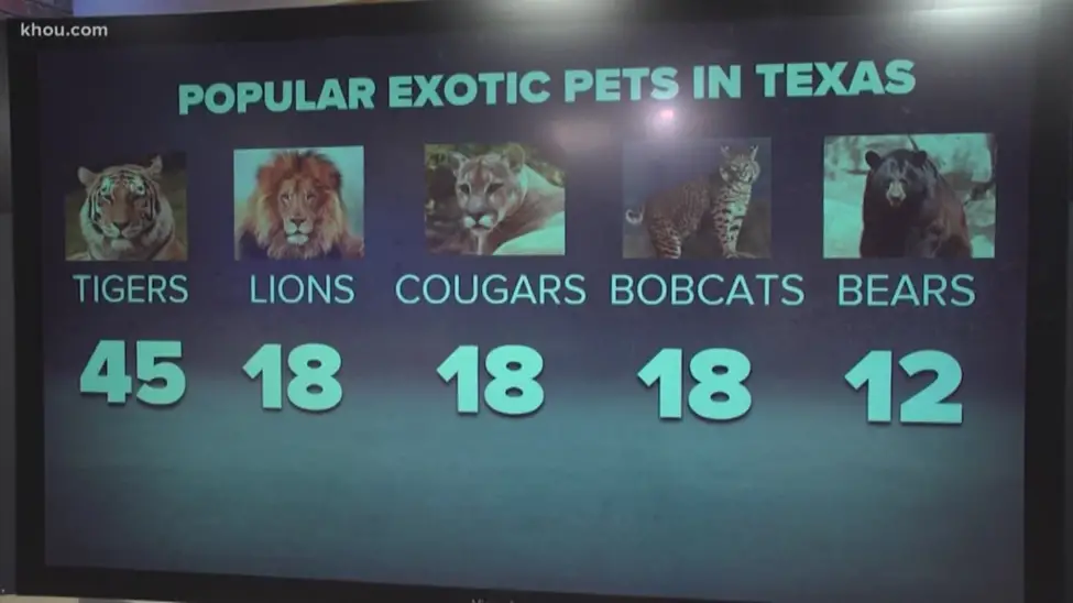 How many pets can you have in Texas?